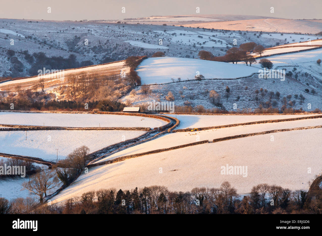 Snow covered Somerset countryside in Exmoor National Park Stock Photo