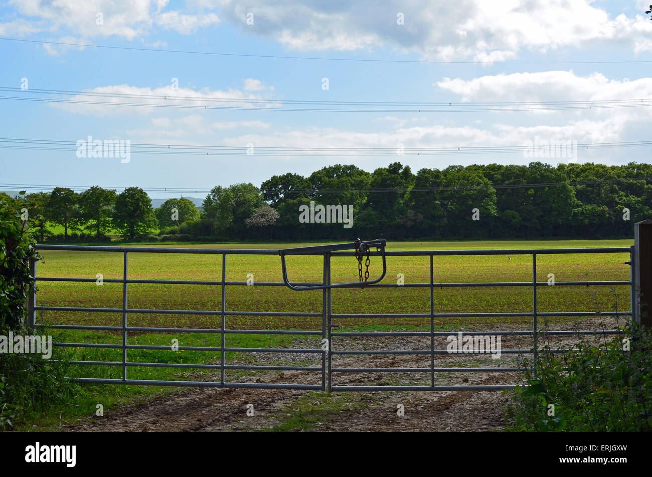 Metal farm gate on a English farm during Spring. Stock Photo