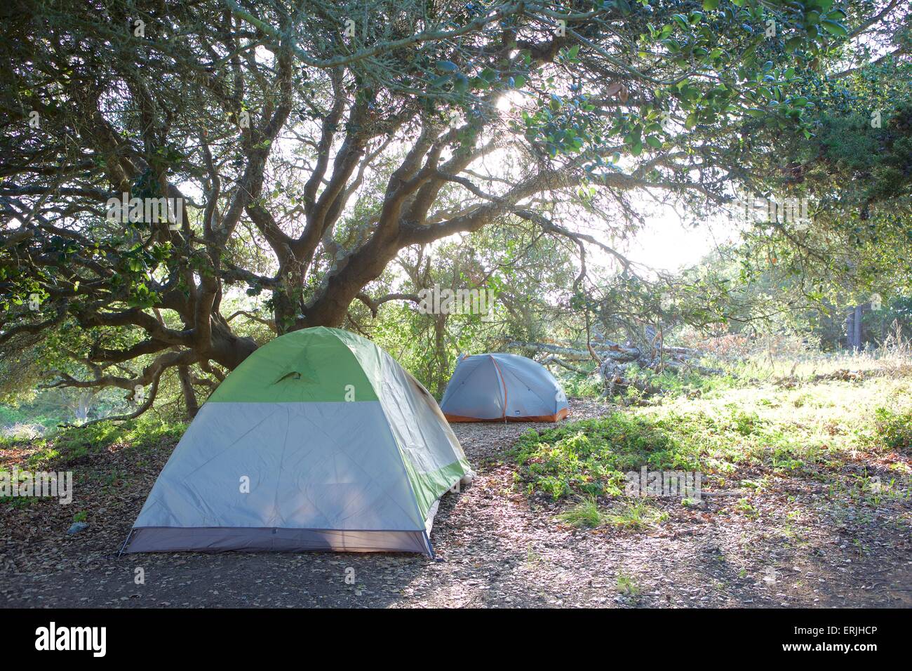 Camping on Angel Island State Park in San Francisco Bay, California