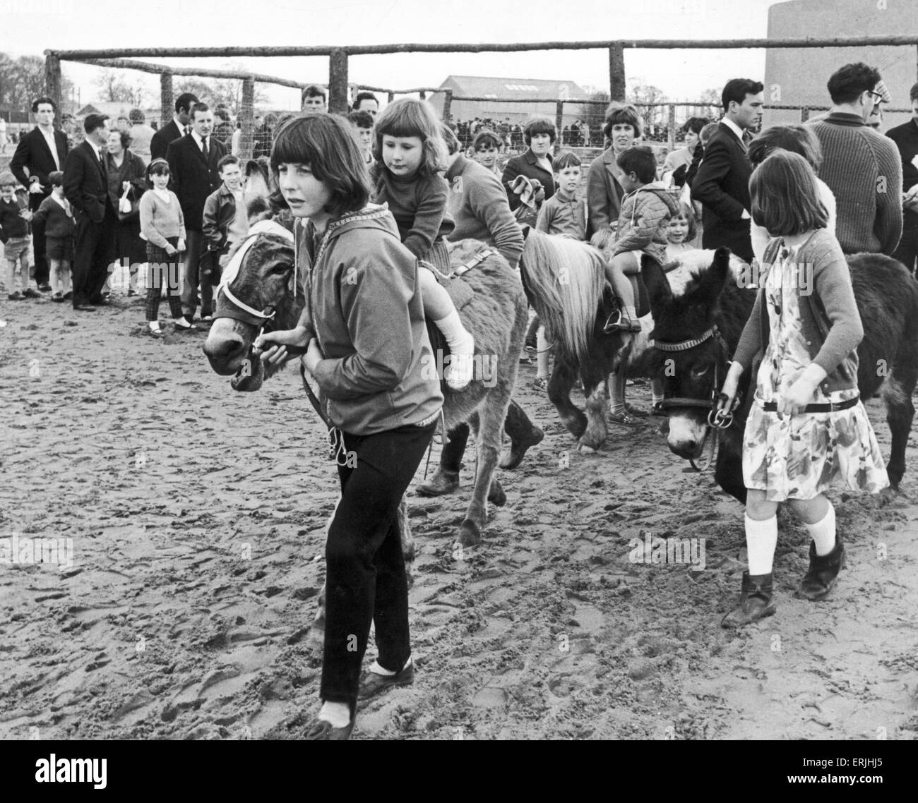 Easter Monday at Coventry Zoo. The pony rides were popular drawing the longest queues. 11th April 1965 Stock Photo