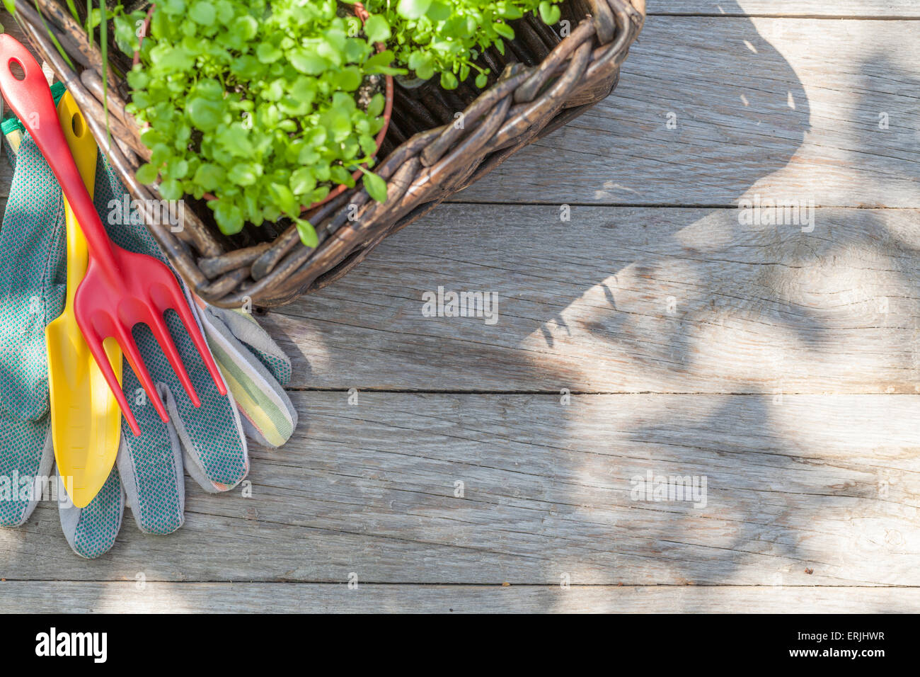 Gardening tools and seedling on garden table. Top view with copy space