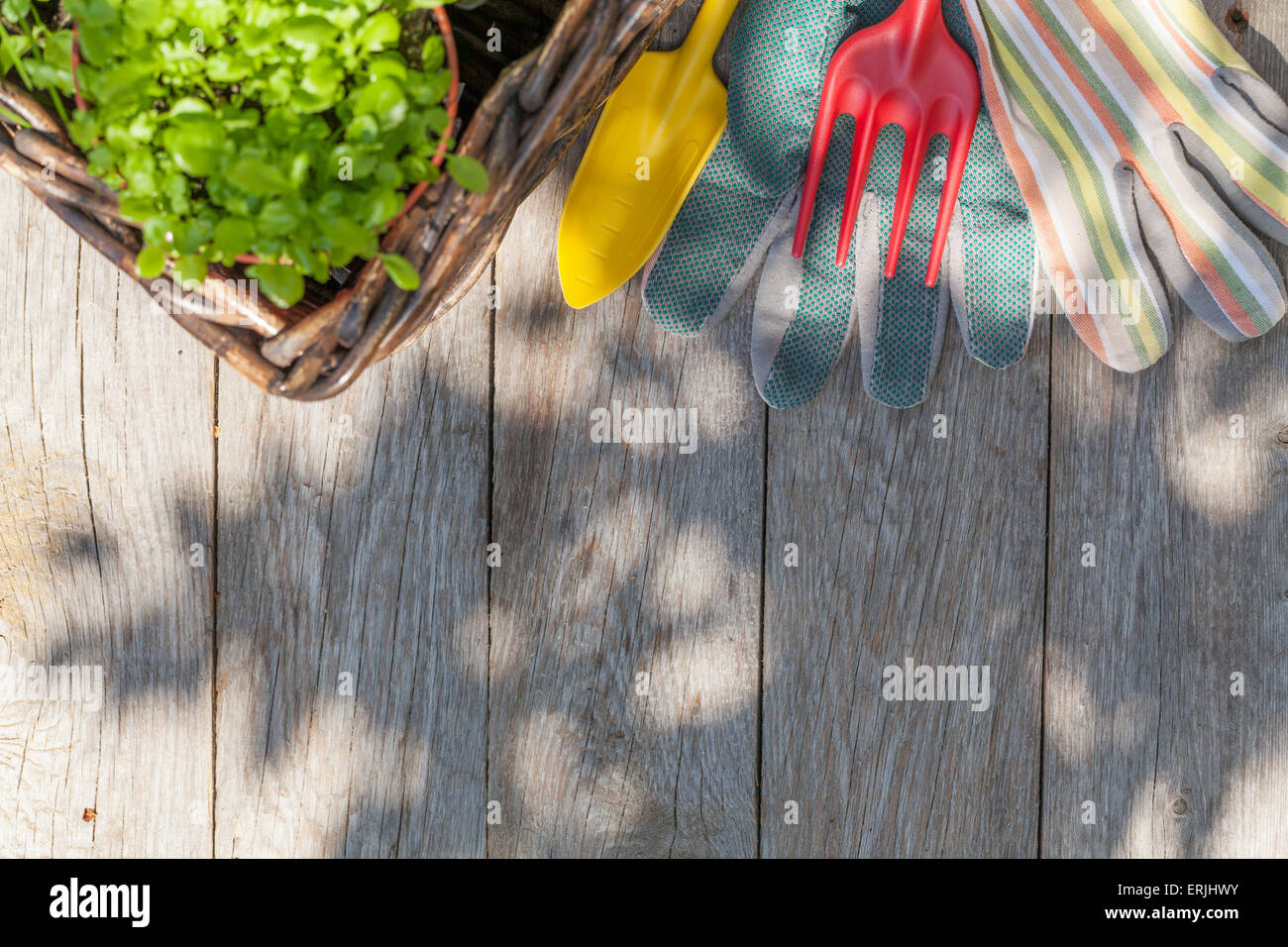 Gardening tools and seedling on garden table. Top view with copy space