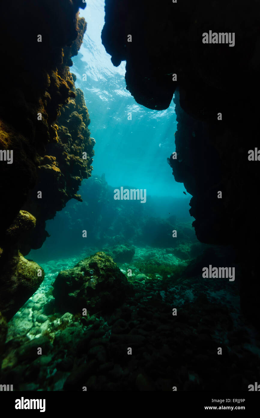 sunlight glows through an underwater coral tunnel entrance in Caribbean ...