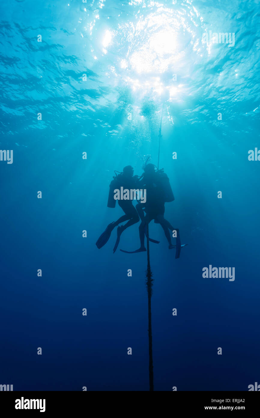 Divers perform a safety stop while ascending into Caribbean sea Stock