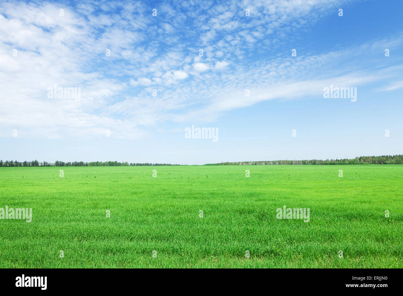 Green grass field and blue sky background Stock Photo - Alamy