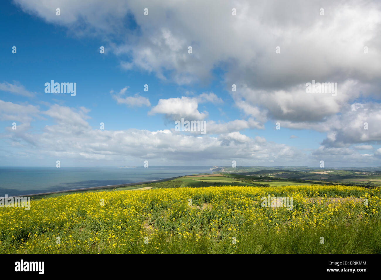 Dramatic sunny view of the English Countryside. Stock Photo