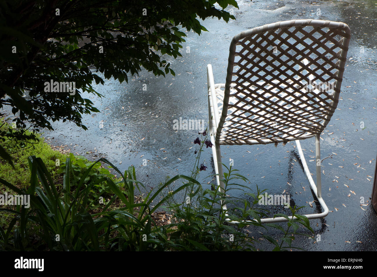 Webbed rocking chair on driveway Stock Photo - Alamy