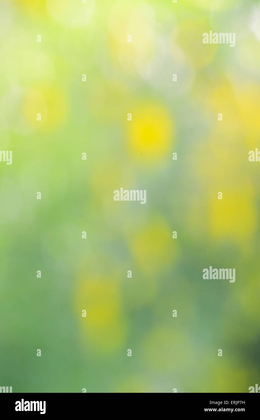 abstract green nature defocus background Stock Photo