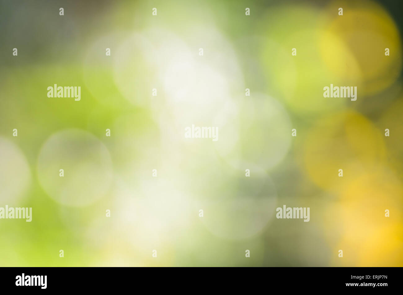 abstract green nature defocus background Stock Photo