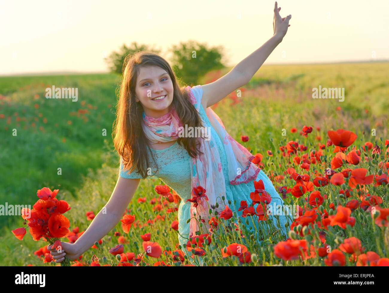 Young beautiful girl in poppy field Stock Photo