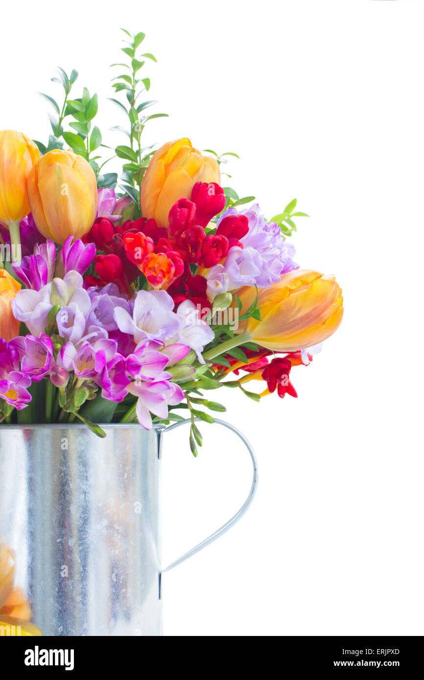 freesia and tulip flowers Stock Photo Alamy