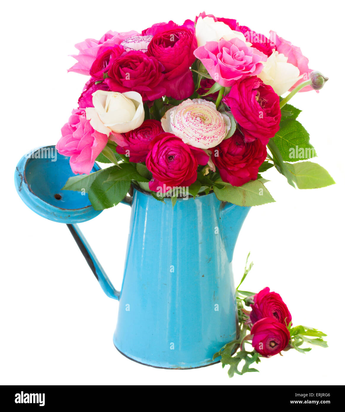 bunch of pink ranunculus flowers Stock Photo