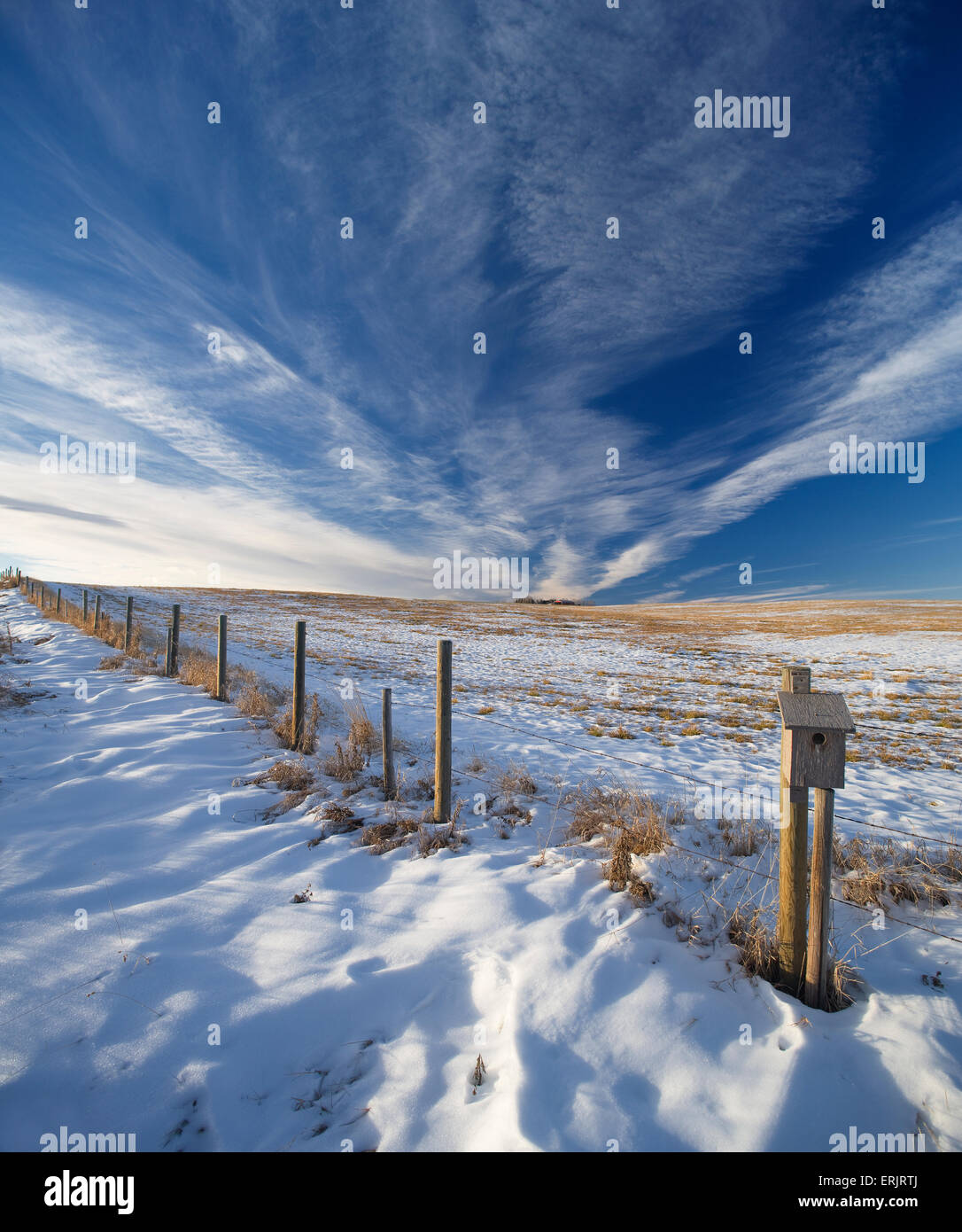 Fence With Bird House And Stubble Field In Winter Near Water Valley