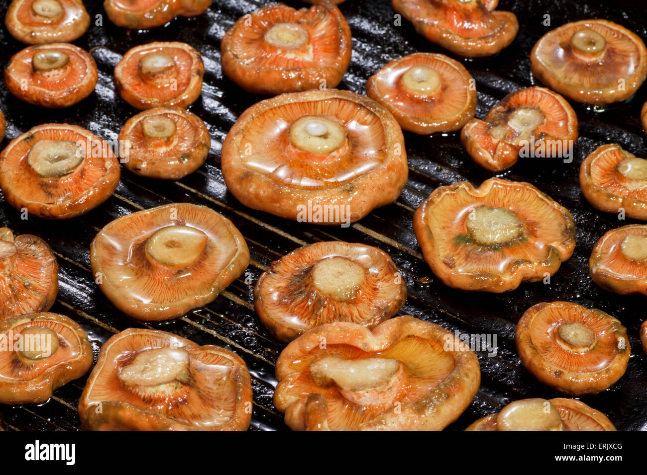 Group of grilled Saffron Milk Cap Stock Photo - Alamy