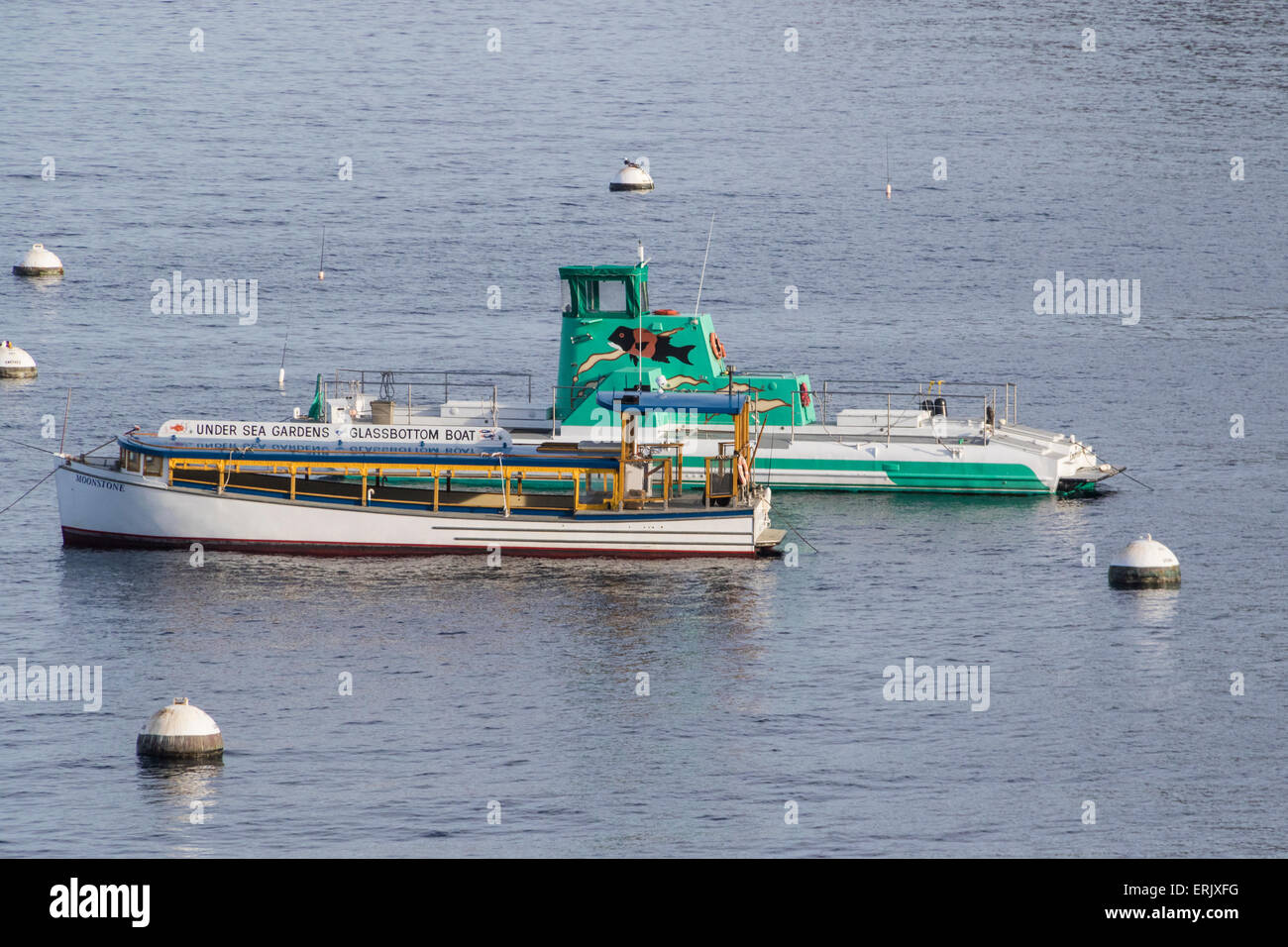 Boat tour on "Undersea Gardens" Glassbottom Boat in Avalon Harbor on Catalina Island in evening