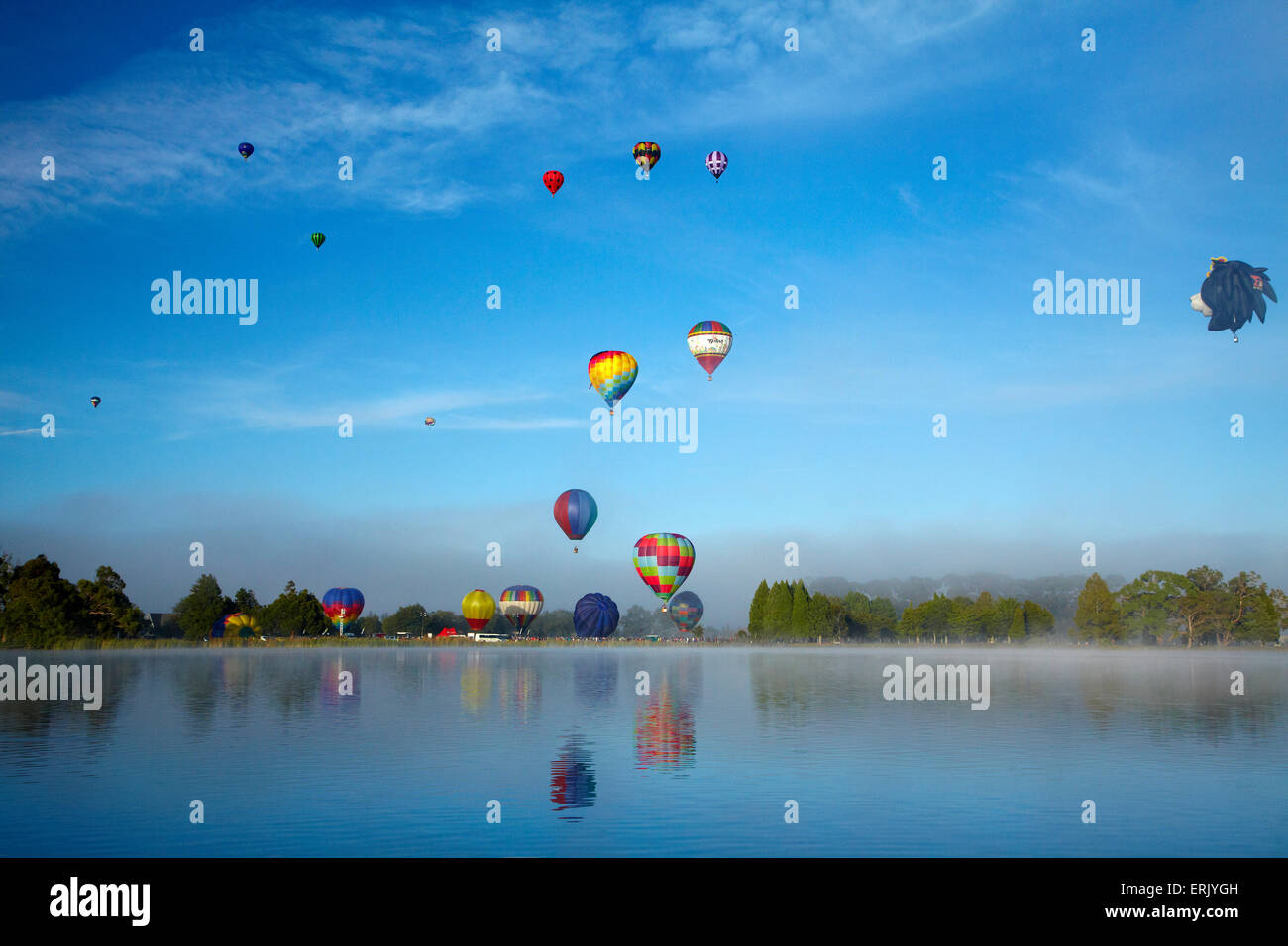 Hot air balloons, Balloons over Waikato Festival, Lake Rotoroa