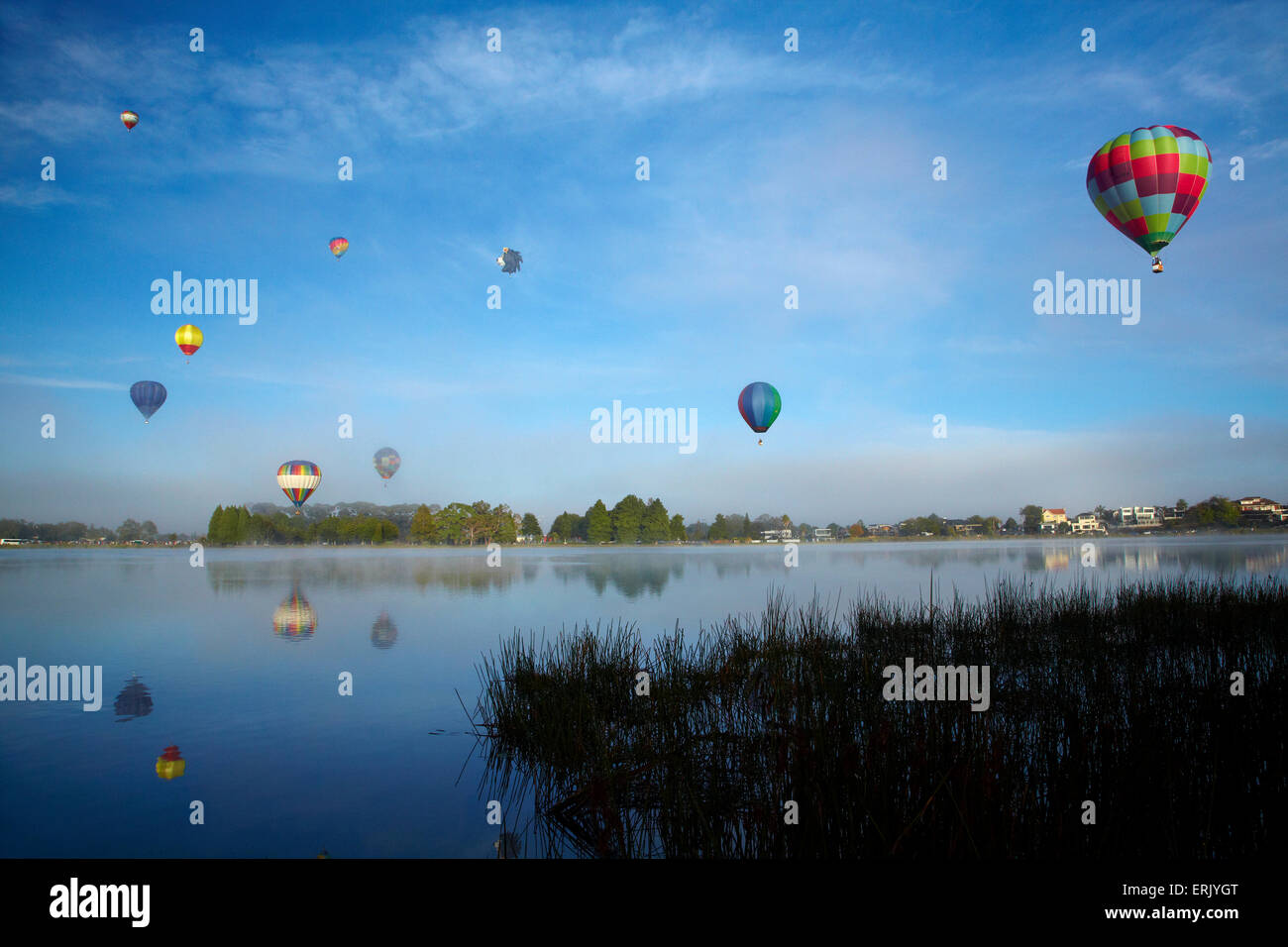 Hot air balloons, Balloons over Waikato Festival, Lake Rotoroa