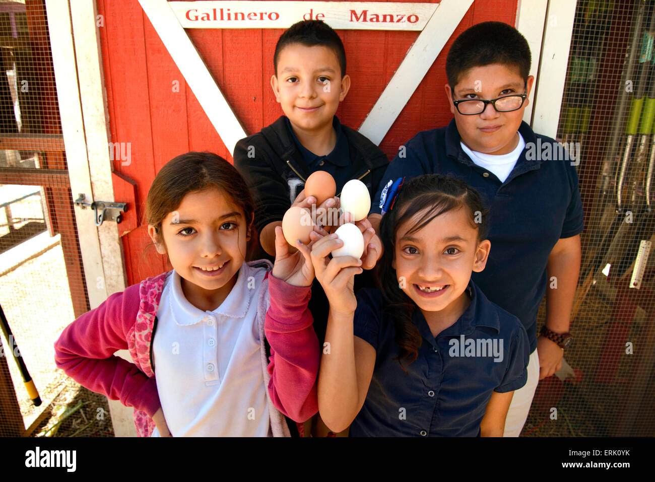 Manzo Elementary School 4th grade students collect eggs from the