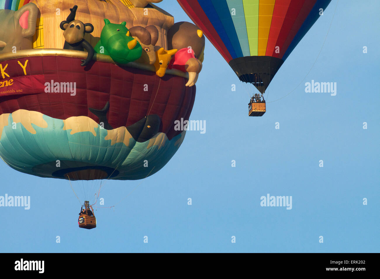 Resene and Hamilton Balloons, Balloons over Waikato Festival, Lake