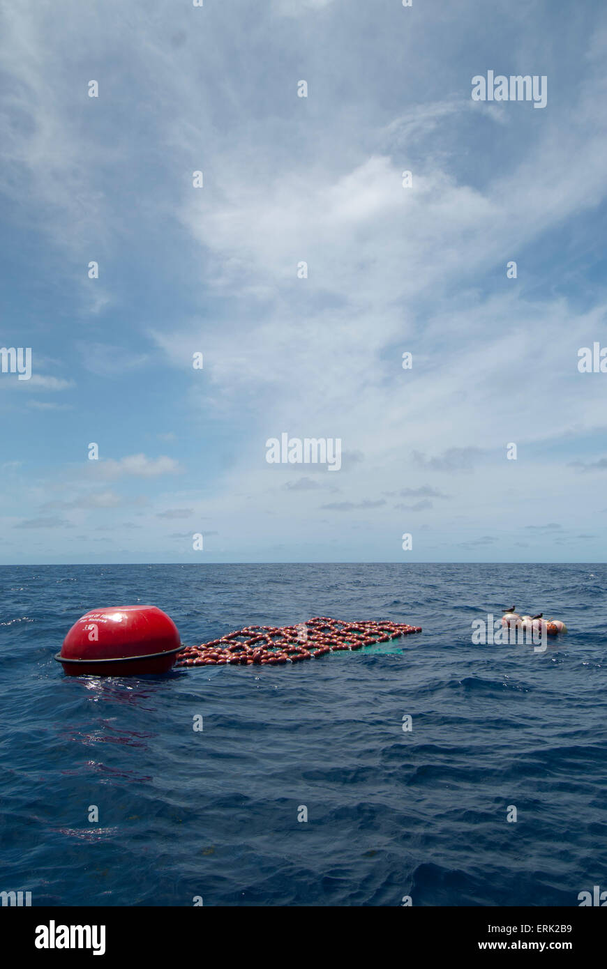 Fish Aggregation Device, Surface buoy, South Male Atoll, Maldives Stock Photo