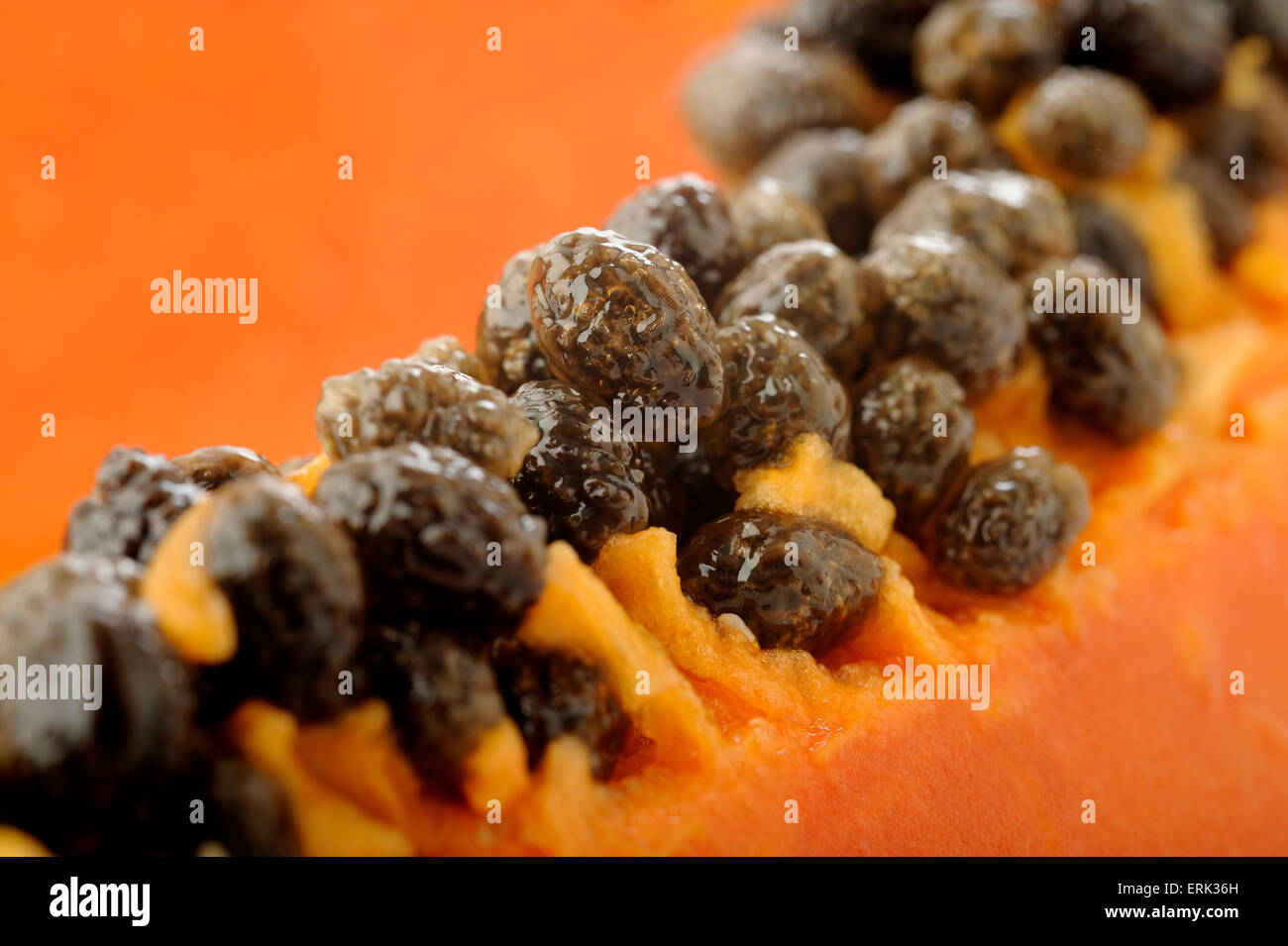 close up of papaya seeds Stock Photo Alamy