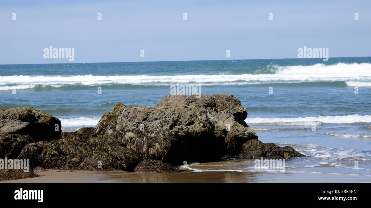Beach Scene, Lincoln City, Oregon, USA Stock Photo