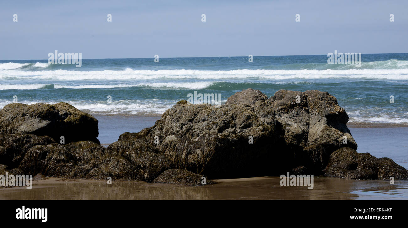 Beach Scene, Lincoln City, Oregon, USA Stock Photo