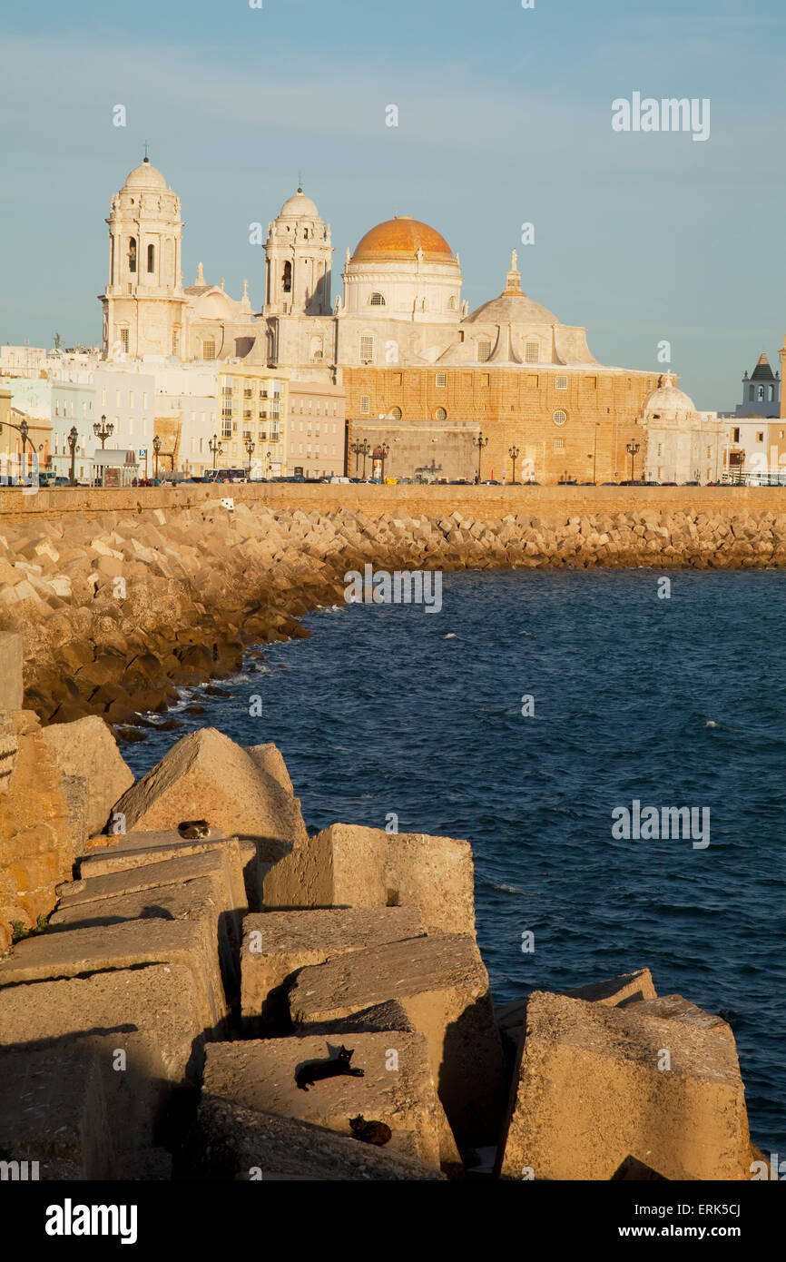 Cathedral and rugged waterfront; Cadiz, Andalusia, Spain Stock Photo
