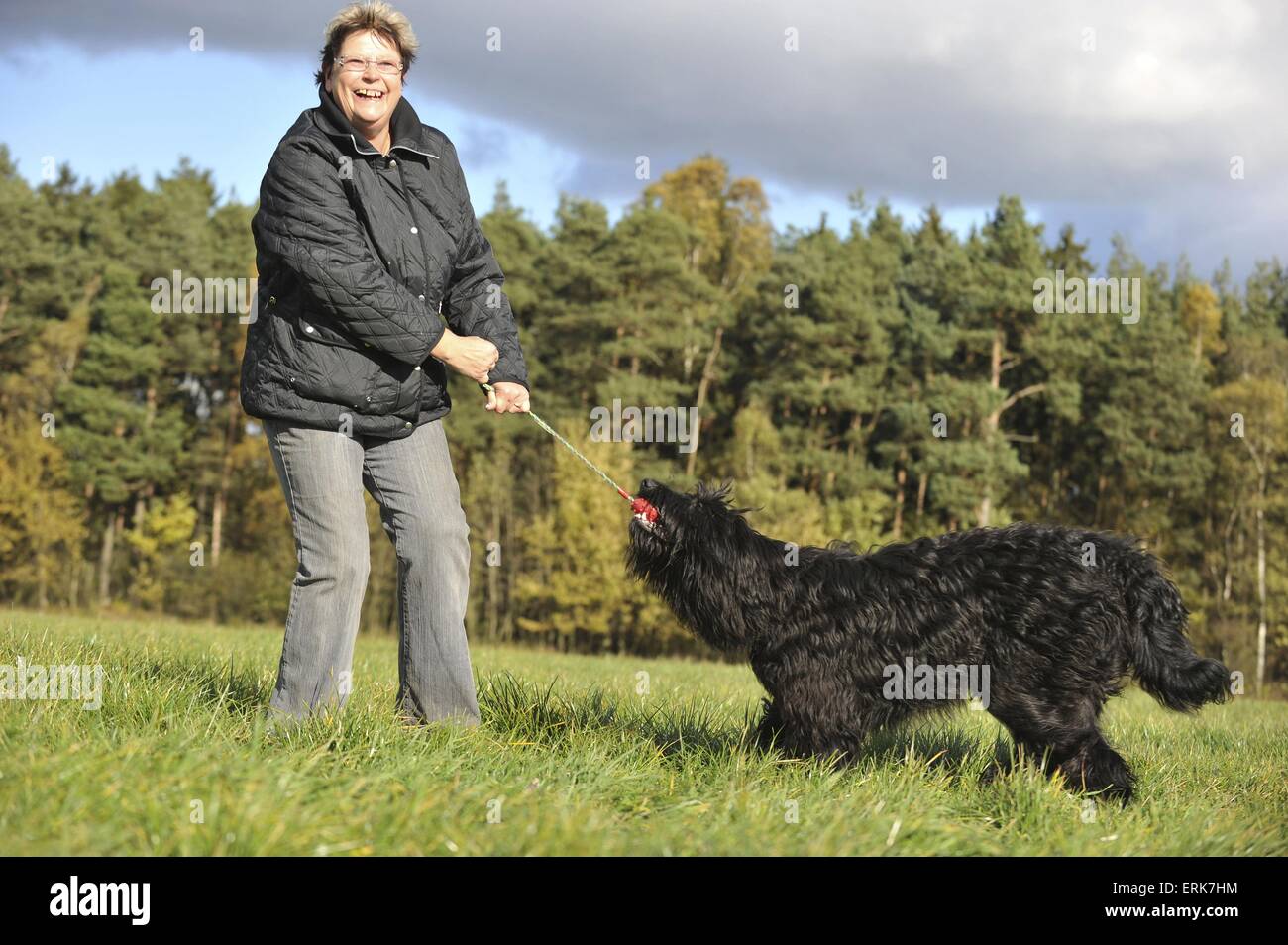 woman plays with Sheeppoodle Stock Photo