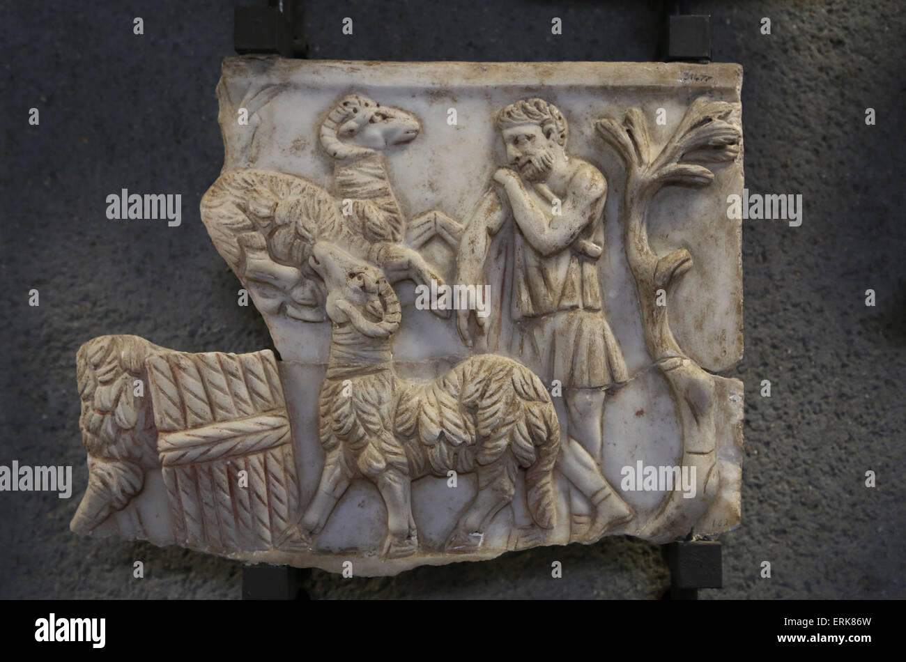 Early Christian. Roman sarcophagi. Shepherd between rams. Unknown. 3rd- 4th C. AD. Vatican Museums. Stock Photo