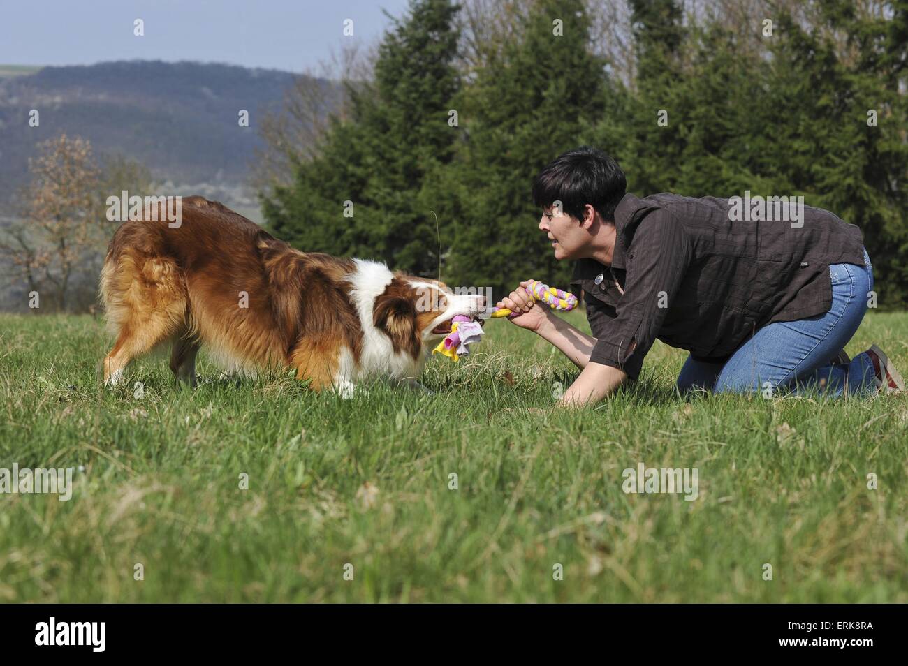 woman plays with Border Collie Stock Photo