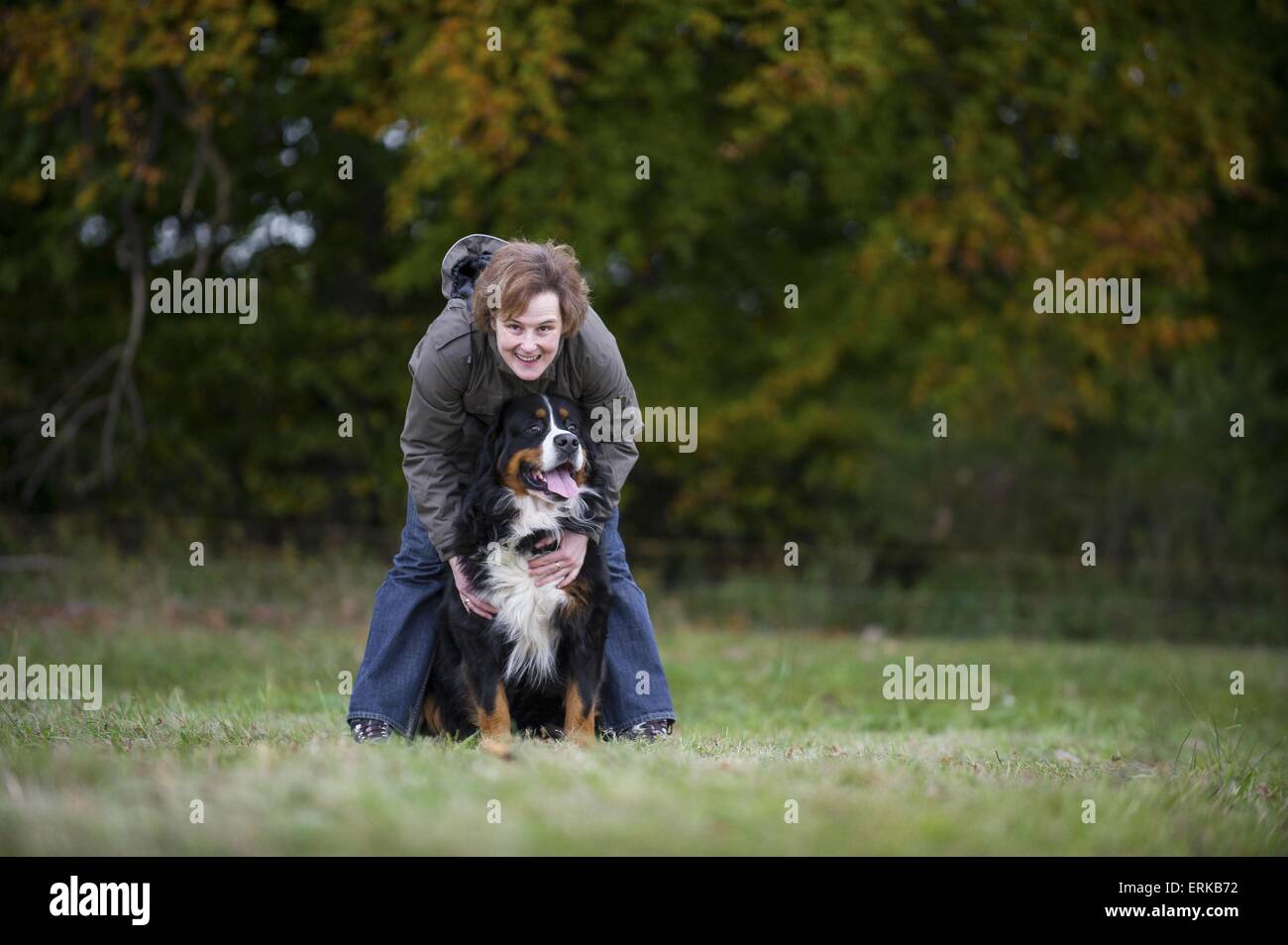 woman with Bernese Mountain Dog Stock Photo