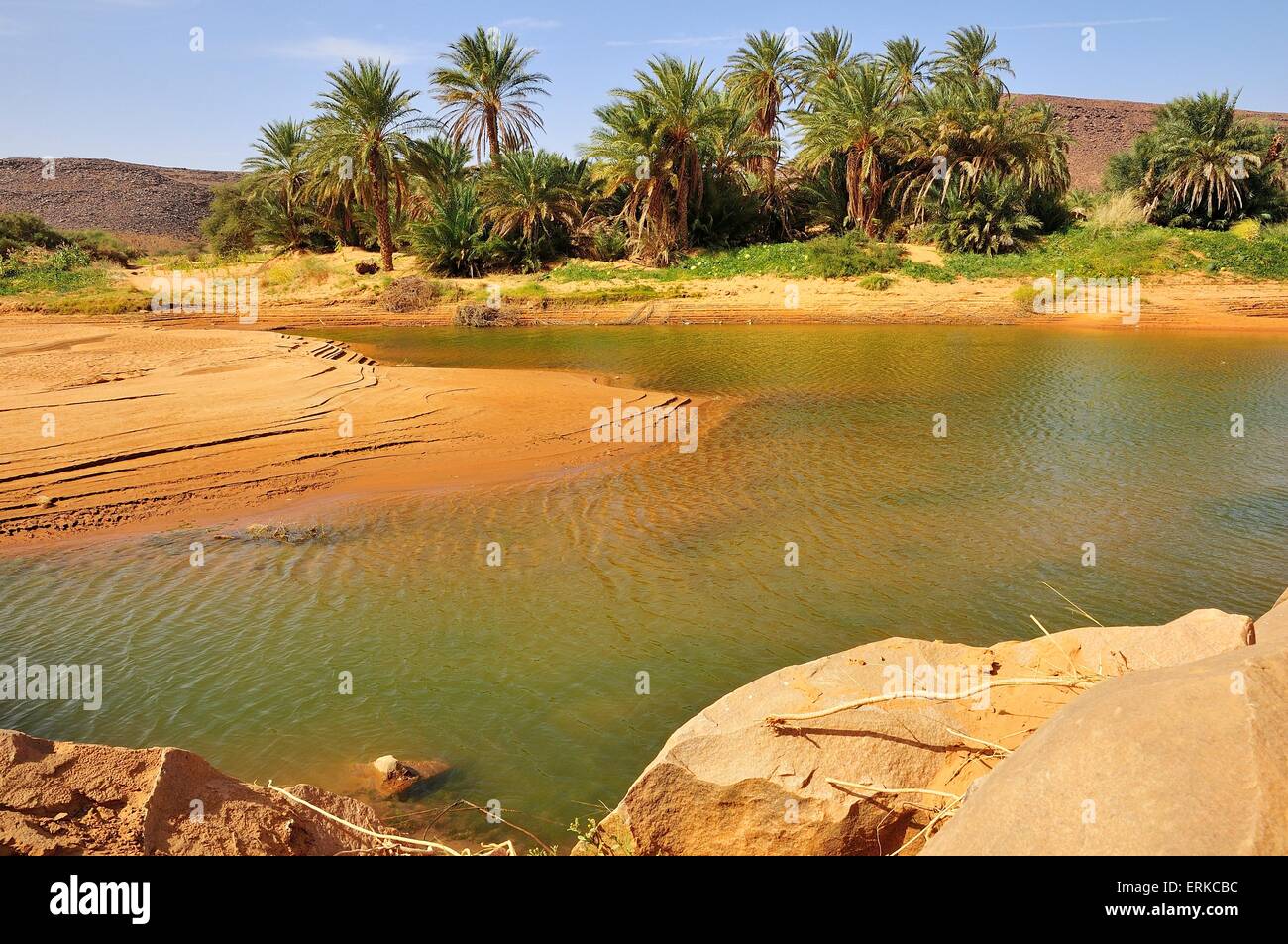 Waterhole in a Wadi or Oued, oasis near Ouadane, Adrar Region, Mauritania Stock Photo