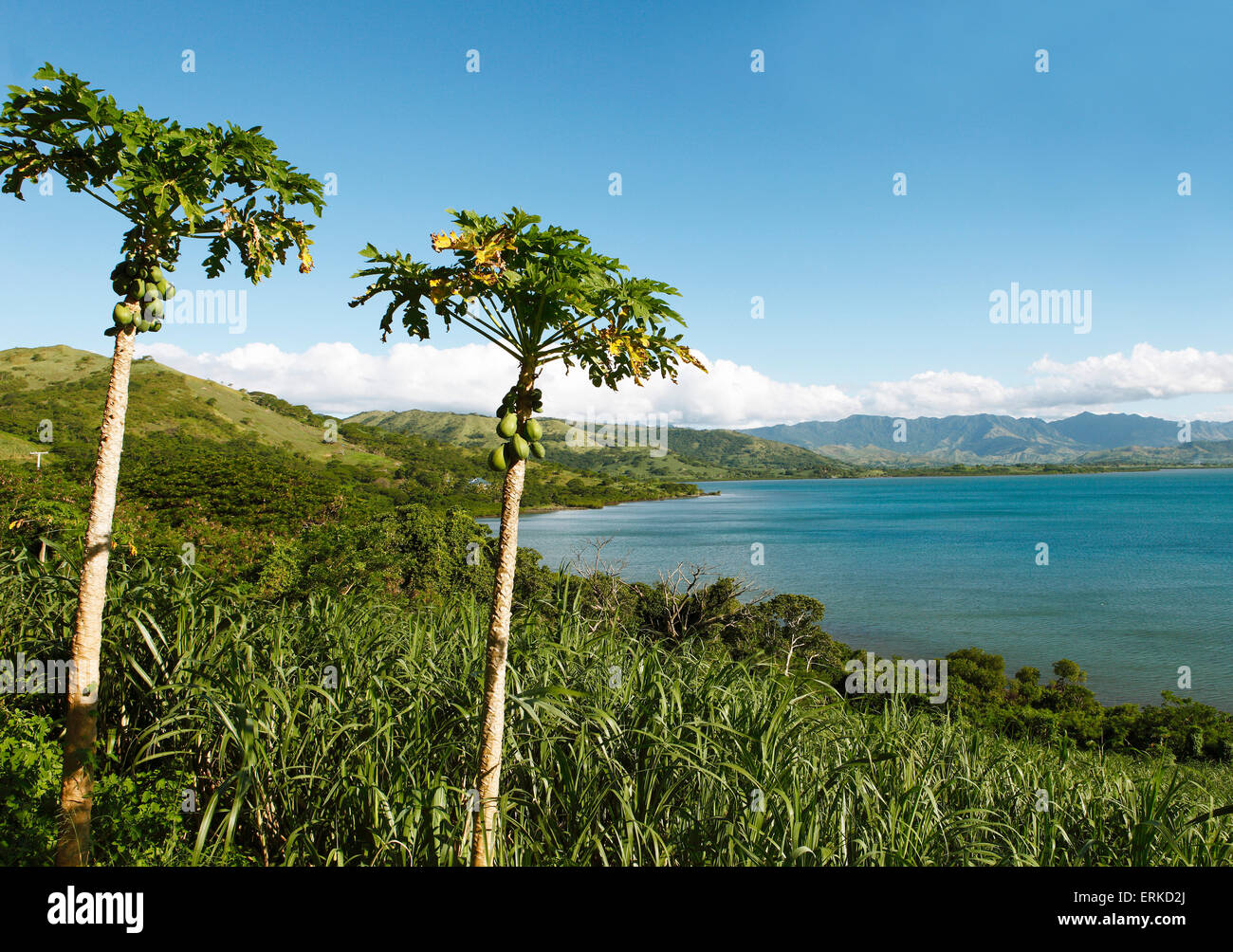 Volivoli Bay, Rakiraki, Viti Levu, Fiji Stock Photo