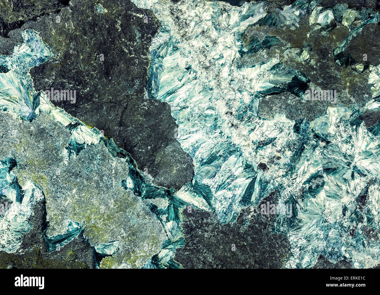 mineralization on the rock Stock Photo - Alamy