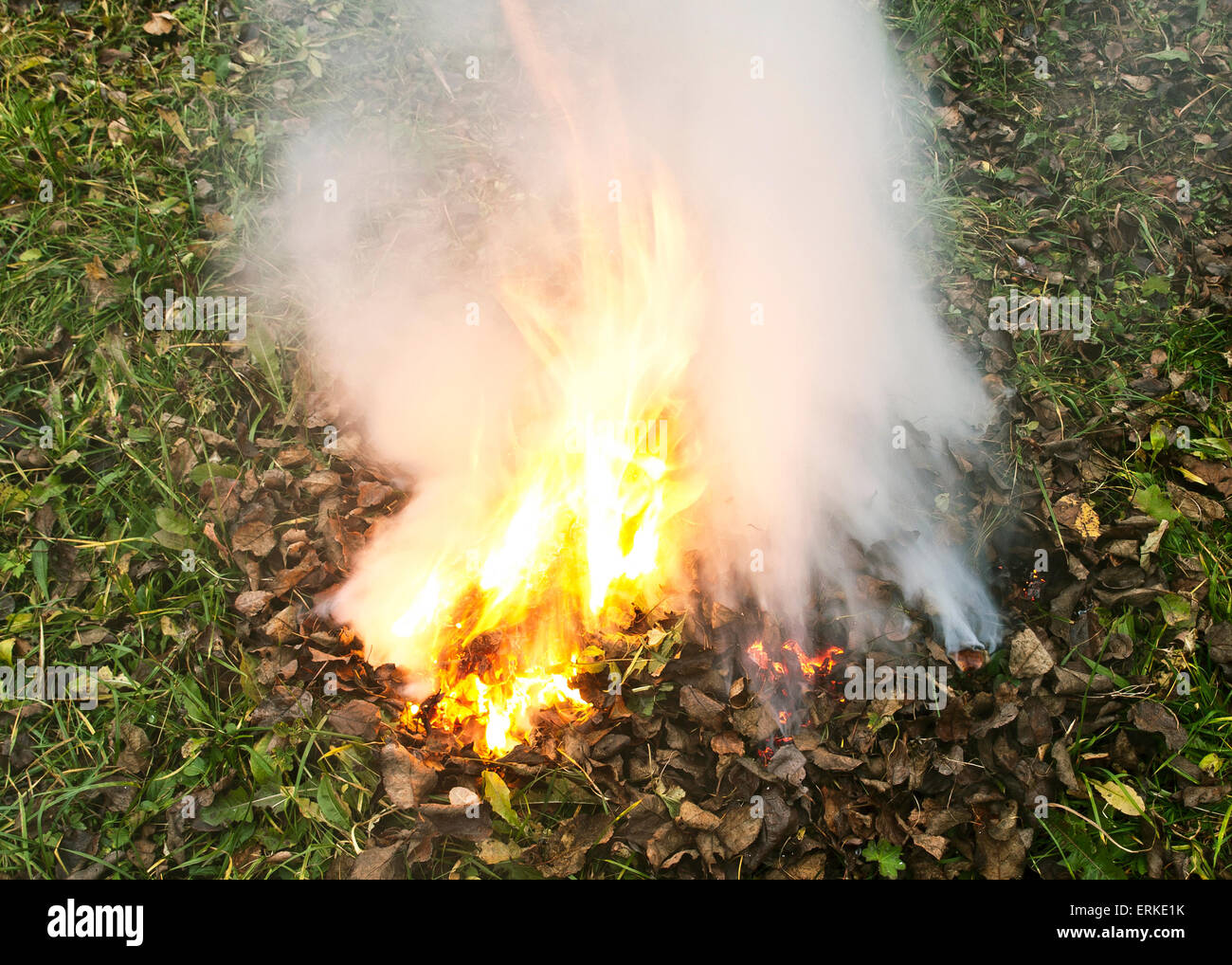 burning dry leaves Stock Photo Alamy