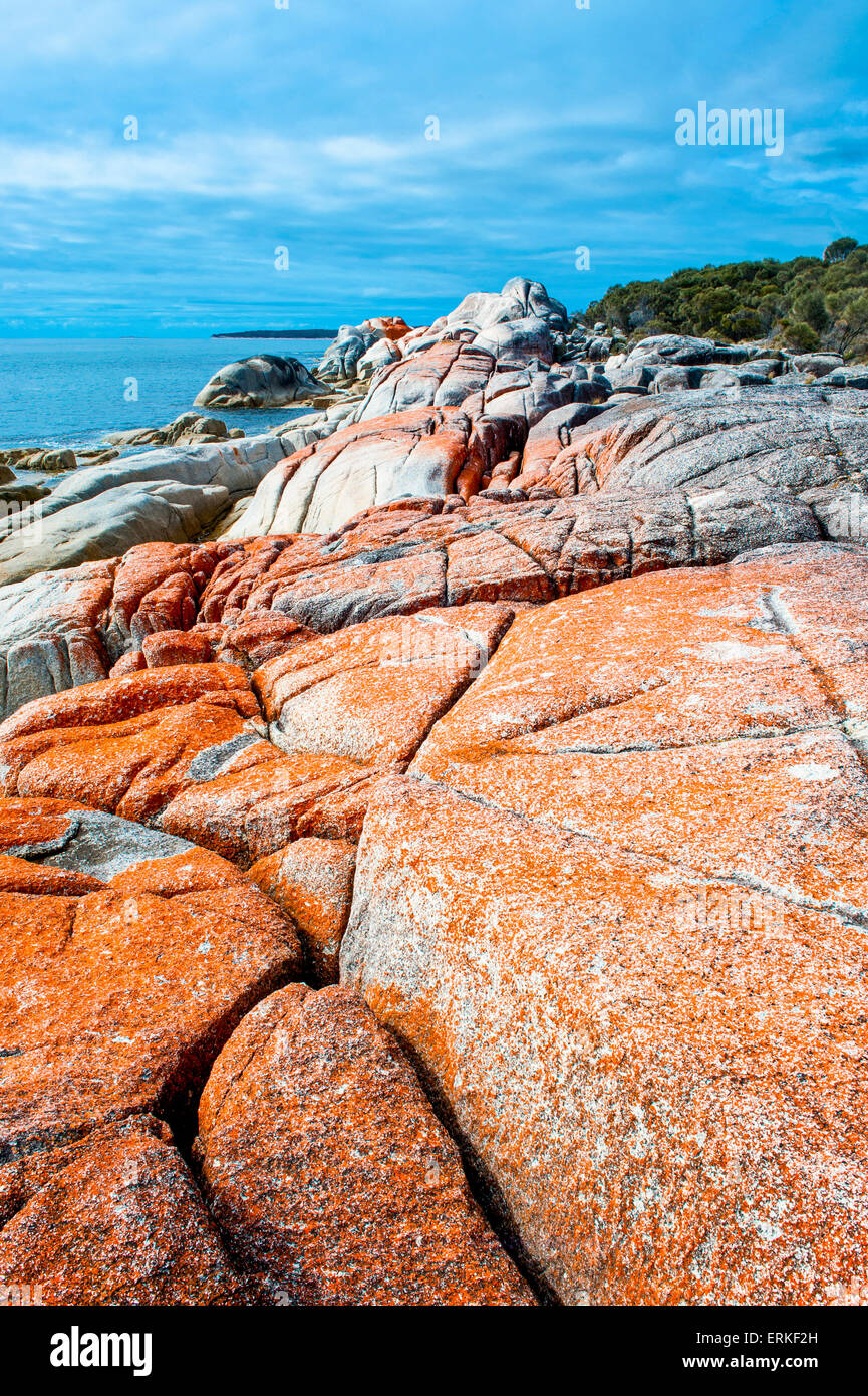Beach, Bay of Fire, Tasmania, Australia Stock Photo
