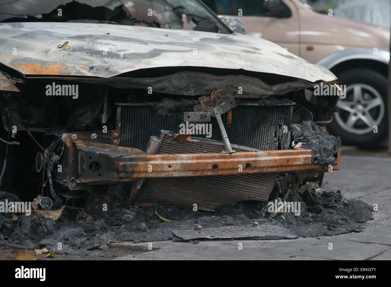 front of a burnt out car in an outdoor park Stock Photo