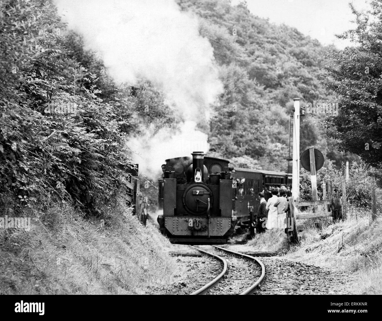Vale of Rheidol 2-6-2 steam locomotive  number 7 'Dwain Glyndwr' leaves Aberffrwyd with the 10am train from Aberystwyth to Devils Bridge. 7th August 1968. Stock Photo
