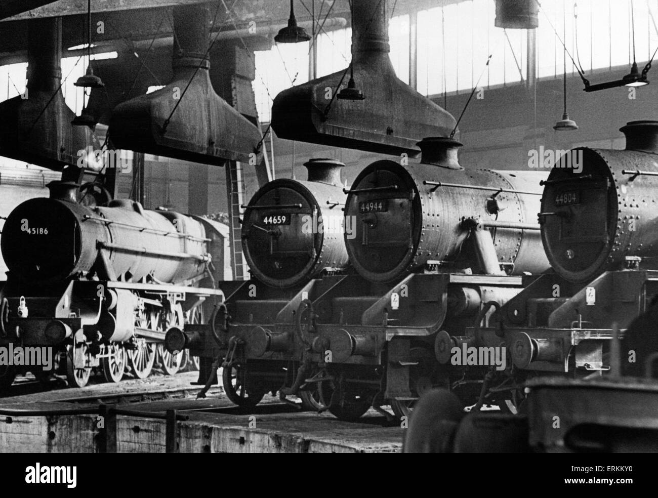 Steam locomotive engines standing idle at Saltley sheds near Birmingham, October 1962. Stock Photo