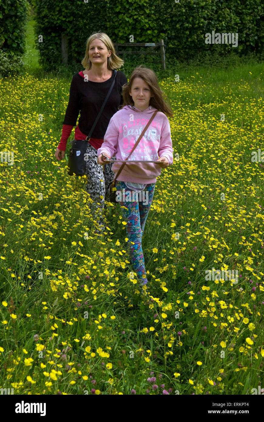 Mother and 9 year old daughter walking through a field of buttercups as they take part in an African trail in search of... Stock Photo
