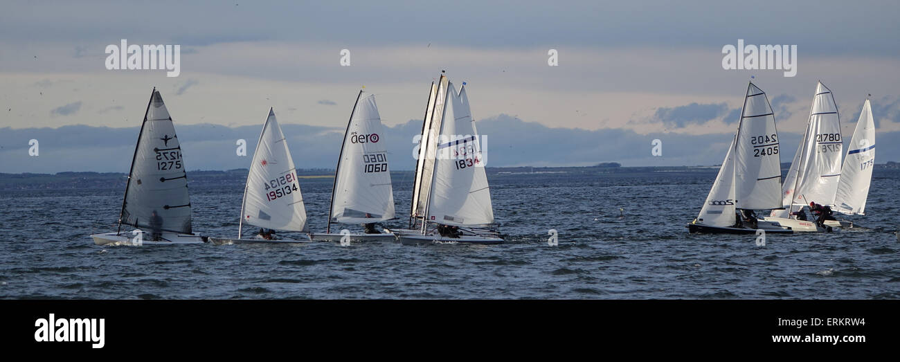 Start of Sailing Dinghy race, North Berwick Stock Photo Alamy