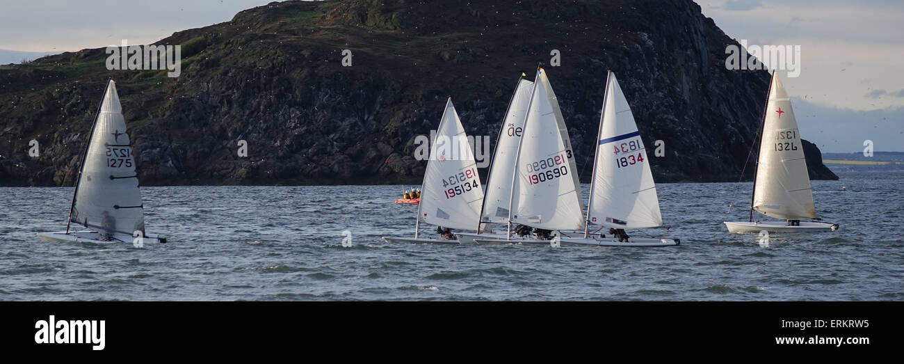 Start of Sailing Dinghy race, North Berwick Stock Photo Alamy