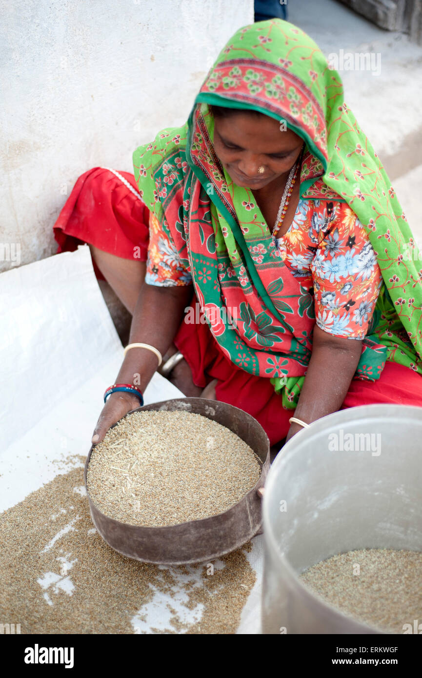 Young village woman sifting millet, Nirona village, Kachchh, Gujarat, India, Asia Stock Photo