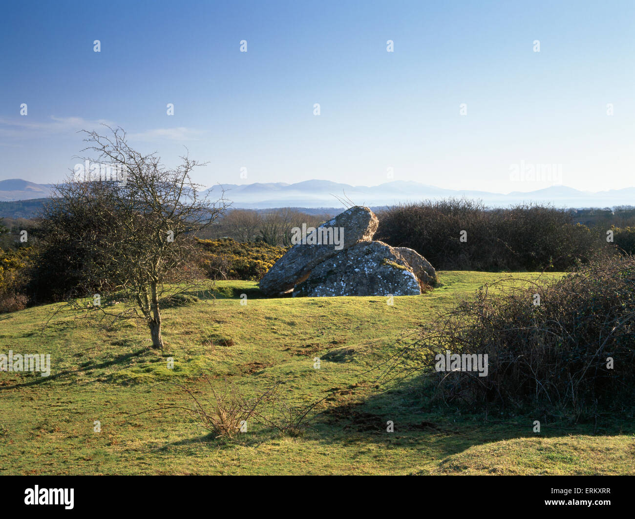 Exposed chamber stones of Pant y Saer Neolithic tomb on a limestone