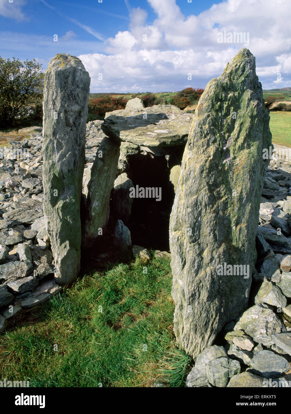 Long cairn, forecourt, entrance stones & final (E) burial chamber of Trefignath Neolithic tomb, Anglesey, in use & modified over 1000 years Stock Photo