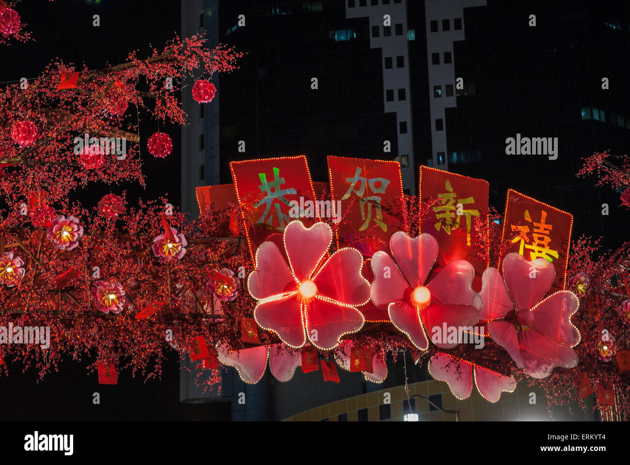 chinese new year sign 1919