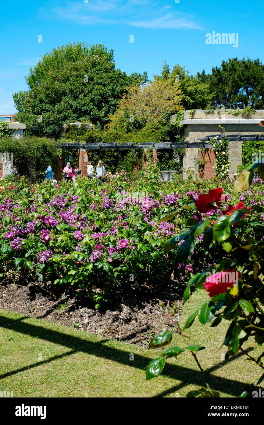 a beautiful sunny afternoon in the rose gardens southsea england uk ...