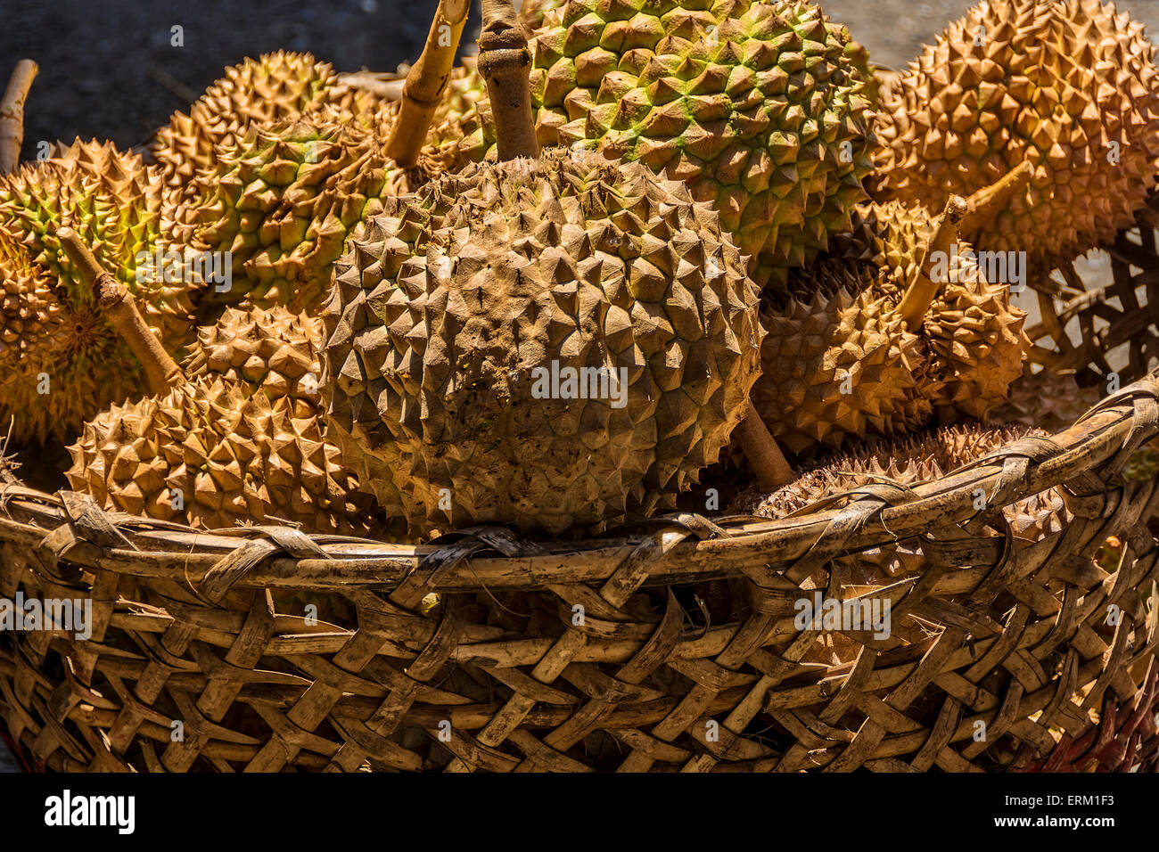 Basket of spiky and smelly Durian for sale in a local market Stock Photo