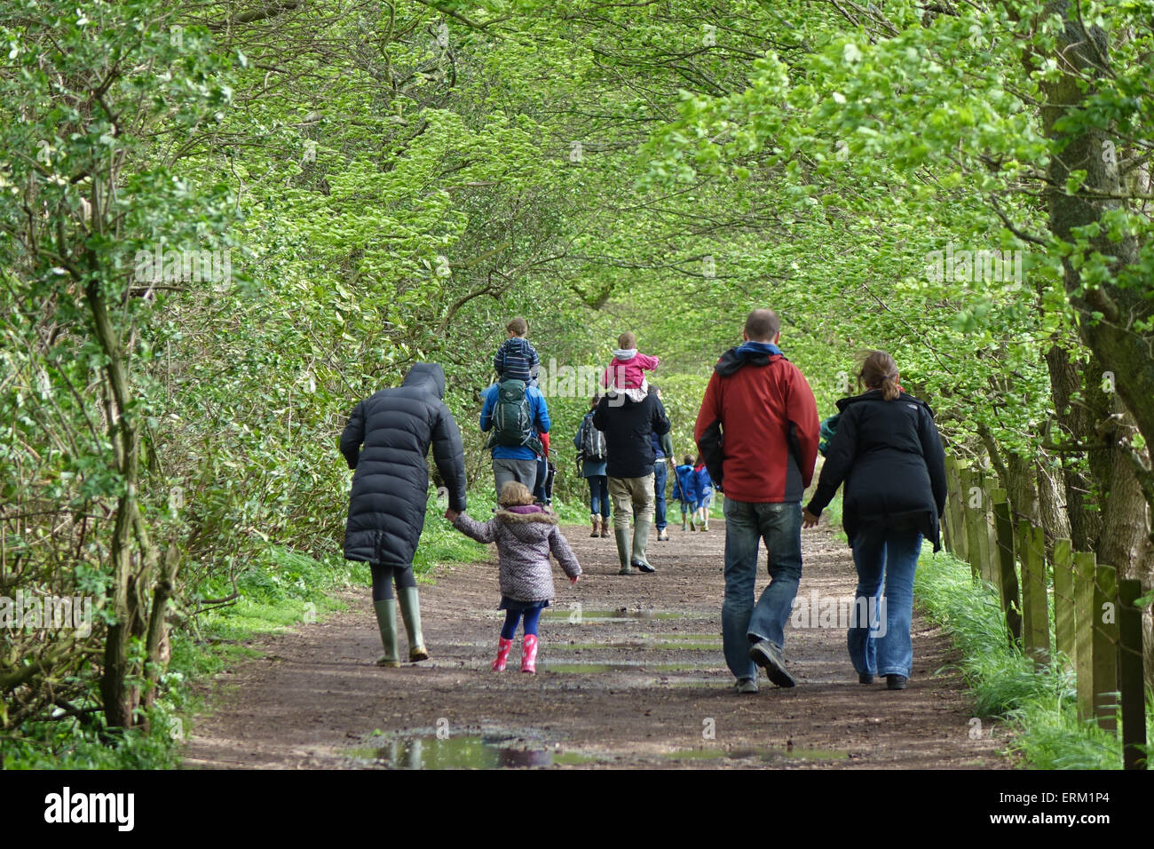 Families on woodland walk Stock Photo